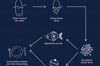 microplastic cycle – The Development CAFE